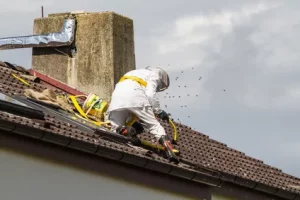 wespen nest entfernen